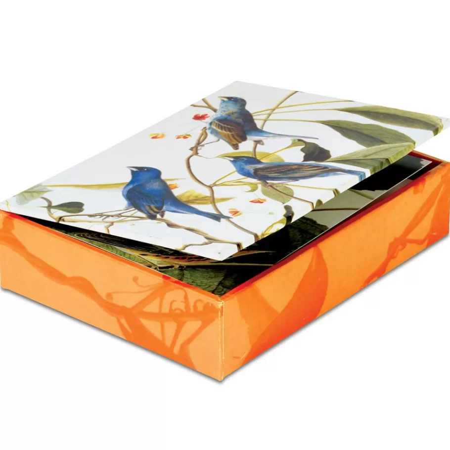 The Met Store Notecards & Correspondence*Audubon Birds Notecards