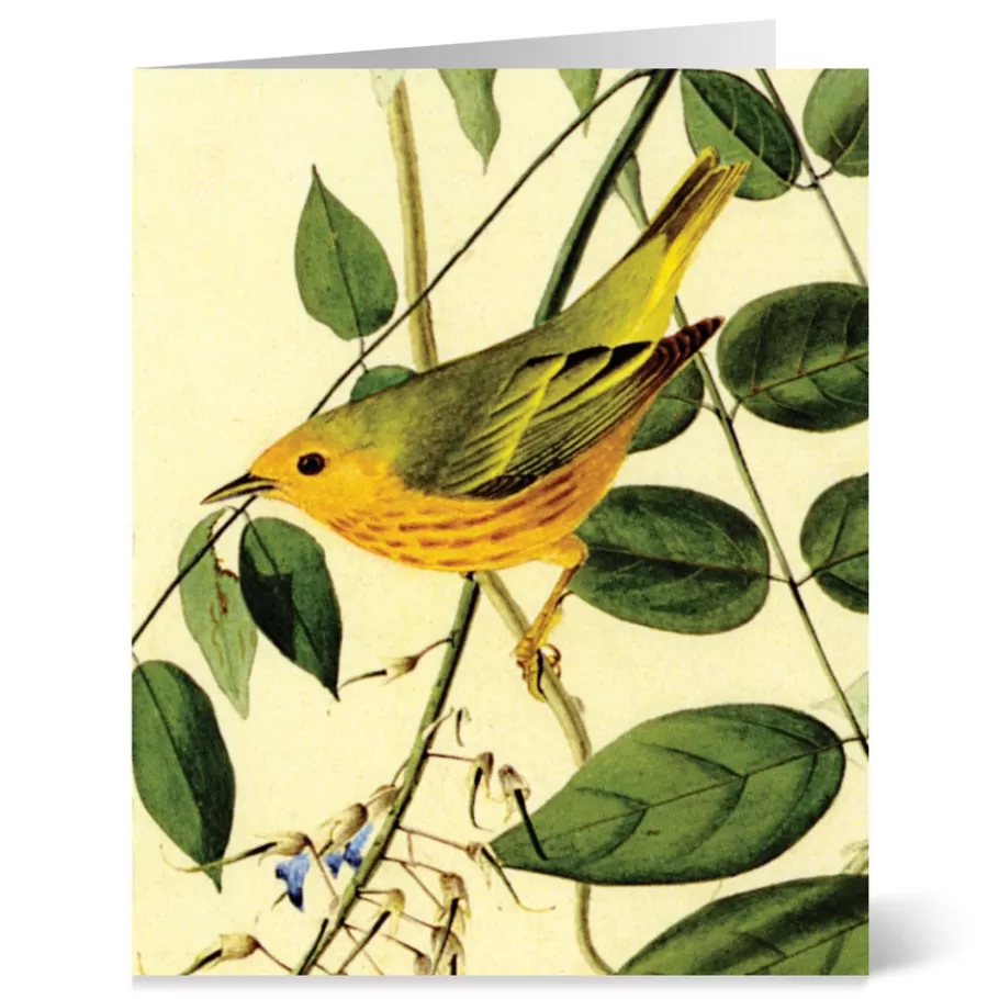 The Met Store Notecards & Correspondence*Audubon Birds Notecards