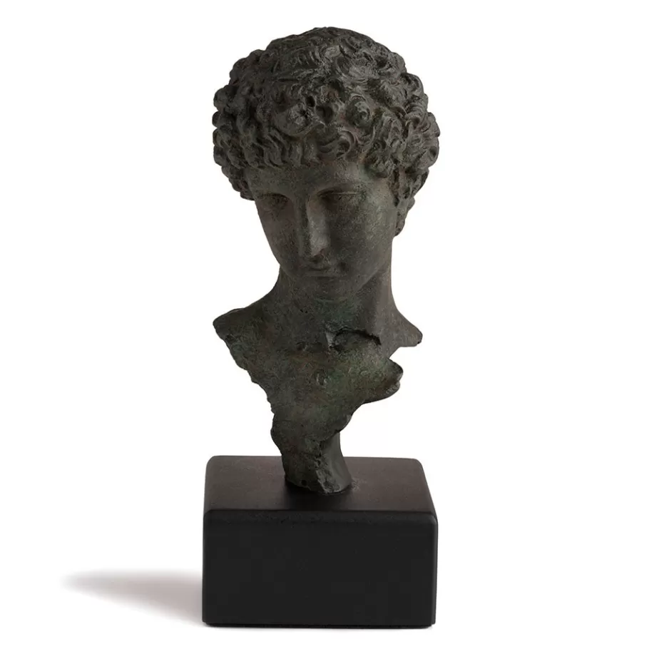 The Met Store Sculpture*Head of a Youth Sculpture