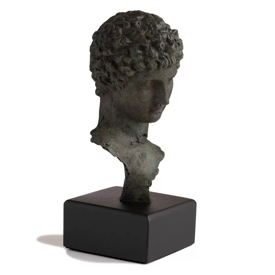 The Met Store Sculpture*Head of a Youth Sculpture