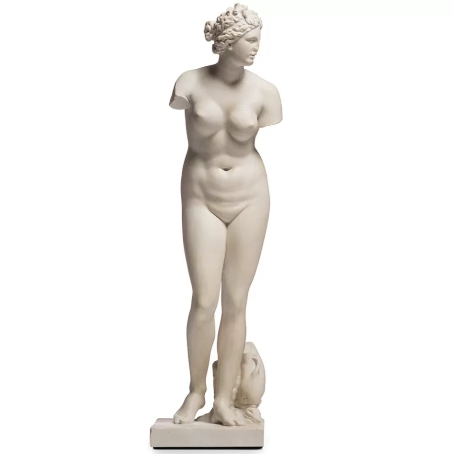 The Met Store Sculpture*Statue of Aphrodite Sculpture