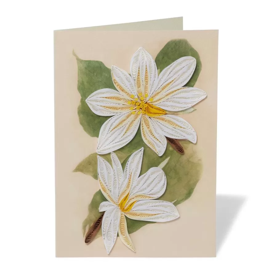 The Met Store Notecards & Correspondence*Studies of Magnolias Quilled Card